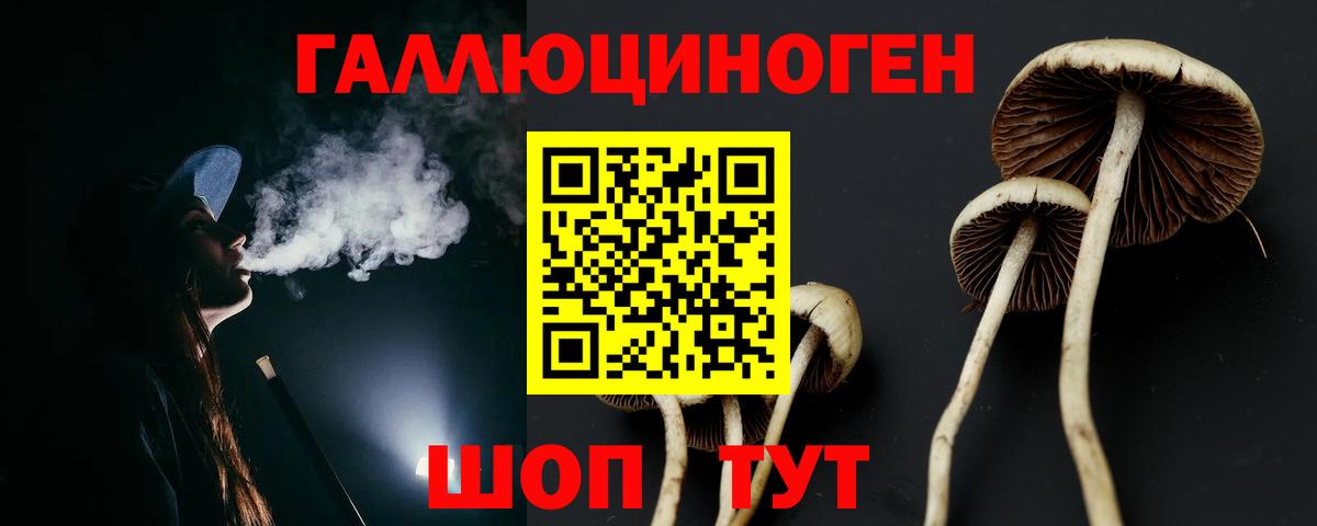 Галлюциногенные грибы Psilocybe  Псилоцибиновые грибы Psilocybine cubensis  Вход с VPN  как найти   Воркута 